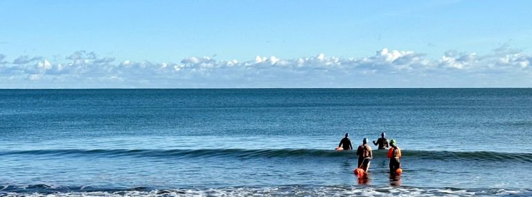 open water swim coach in Devon 768x284