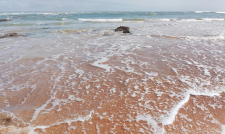 open water swim devon