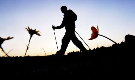 nordic walking devon